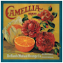 #3